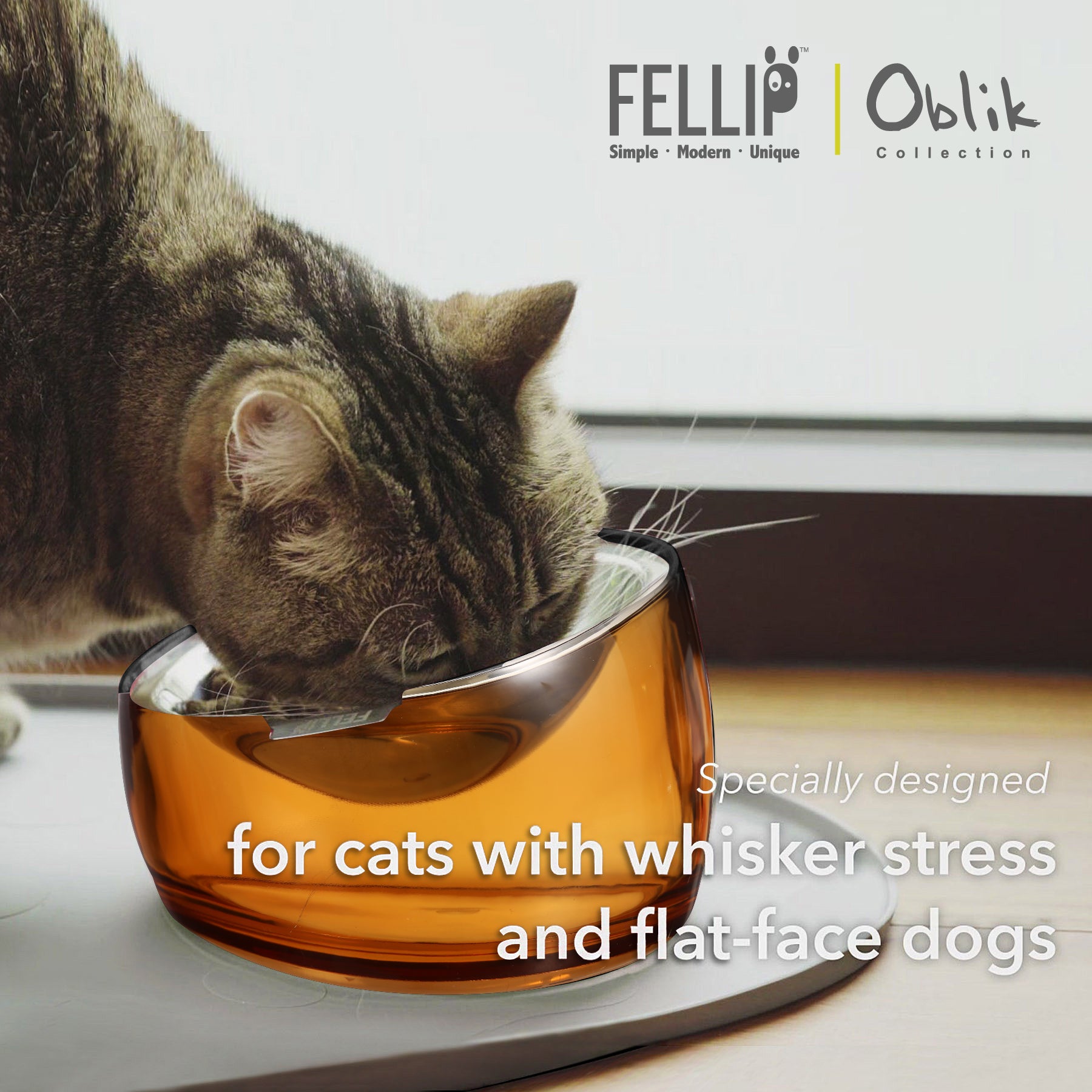 Cat bowl whisker fatigue best sale